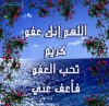 الصورة الرمزية ابومحمود