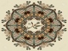 الصورة الرمزية مصطفى زيتون