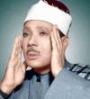 الصورة الرمزية محمد سيد عبدالر