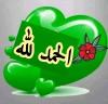 الصورة الرمزية مسترgr
